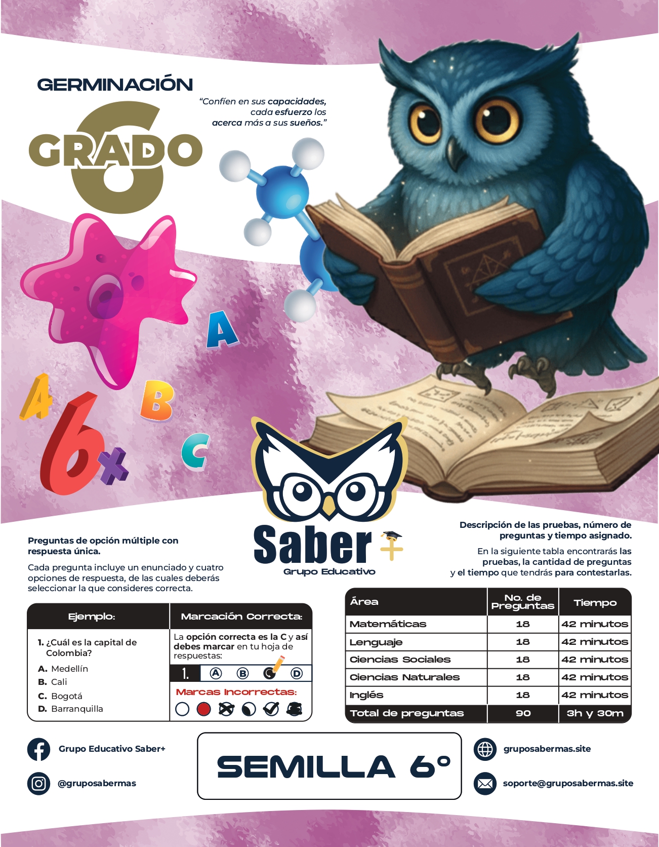 Prueba periódica Grado 6